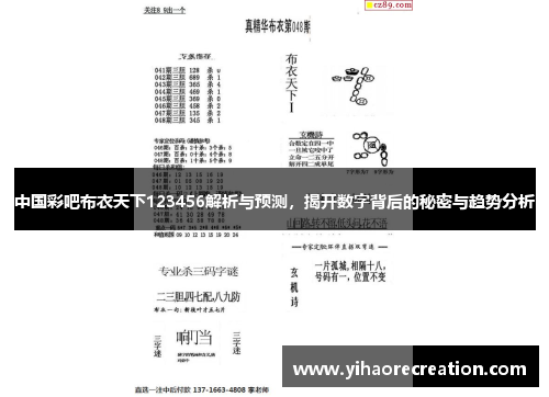 中国彩吧布衣天下123456解析与预测，揭开数字背后的秘密与趋势分析